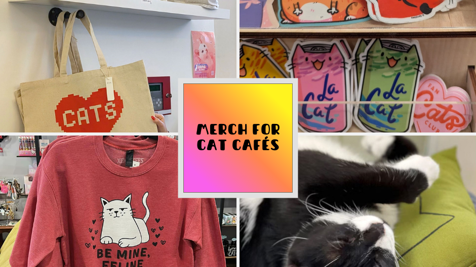 Essential Merchandise Every Cat Café Should Stock (From a Cat Lover)