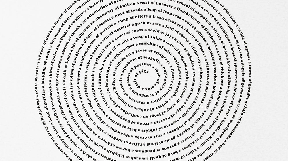 4 Amazing Animal Group Nouns Products to Buy As Teacher's Gifts, Co-Worker Gifts, or for Your Favorite Bookworm!