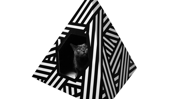 8 Unique Christmas Gifts for Cat Lovers That Have Everything!