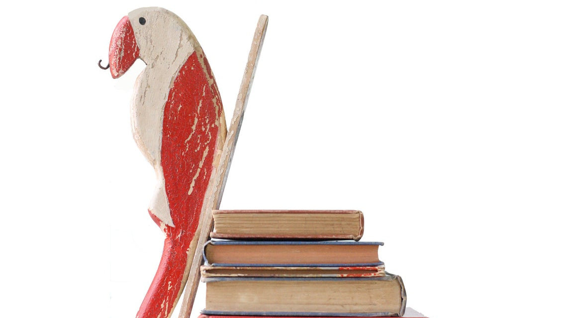 Gifts for Birders Ornithologists Bird Watchers on Etsy