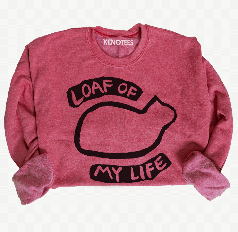 red sweatshirt with black cat loaf graphic and text on a white background