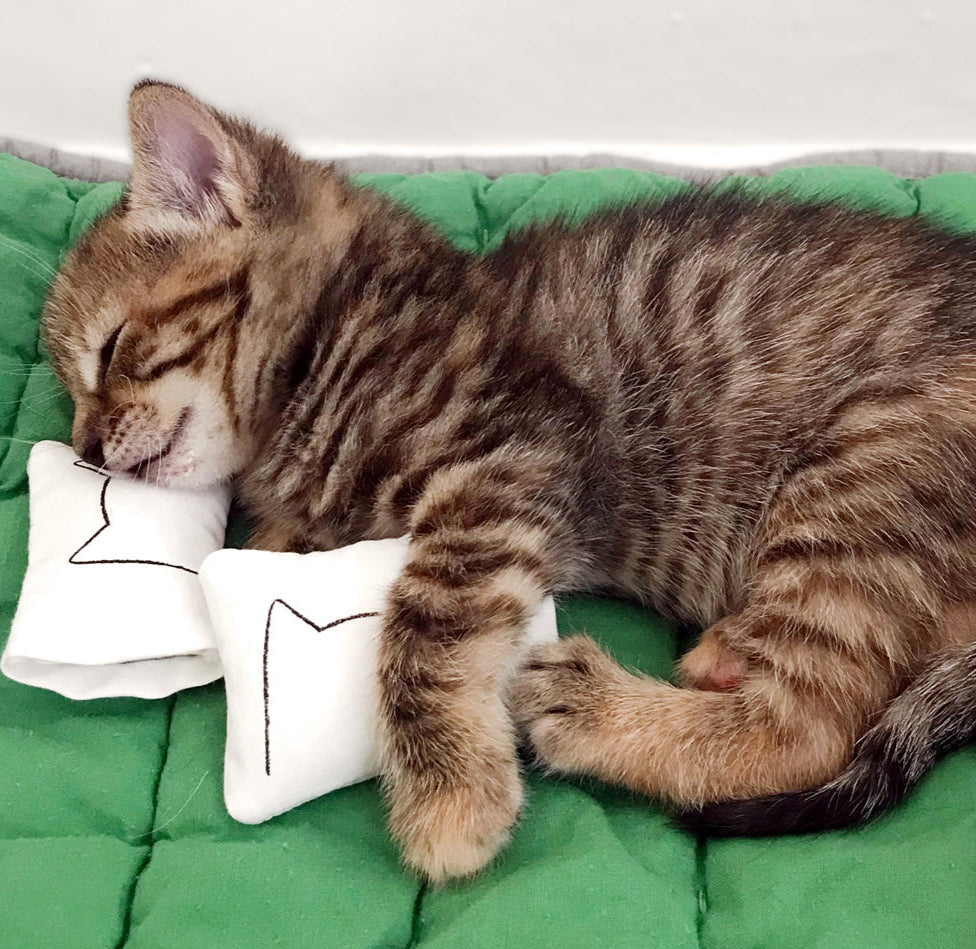 Dollhouse Cat Pillow Cases for Miniature Beds