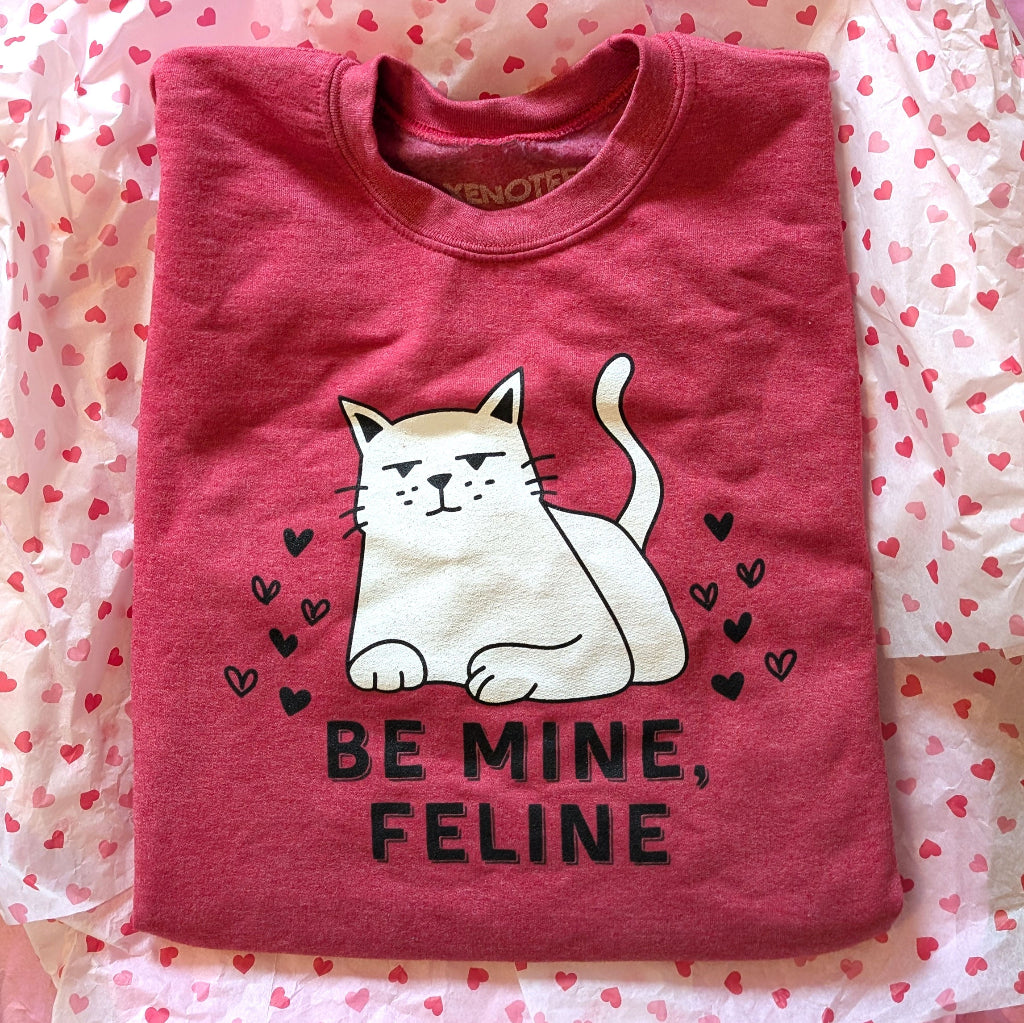 Folded pink shirt with a cat graphic and 'Be Mine, Feline' text on a heart-patterned background