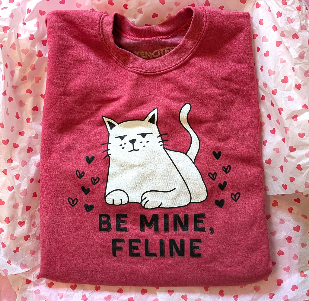 Folded pink shirt with a cat graphic and 'Be Mine, Feline' text on a heart-patterned background