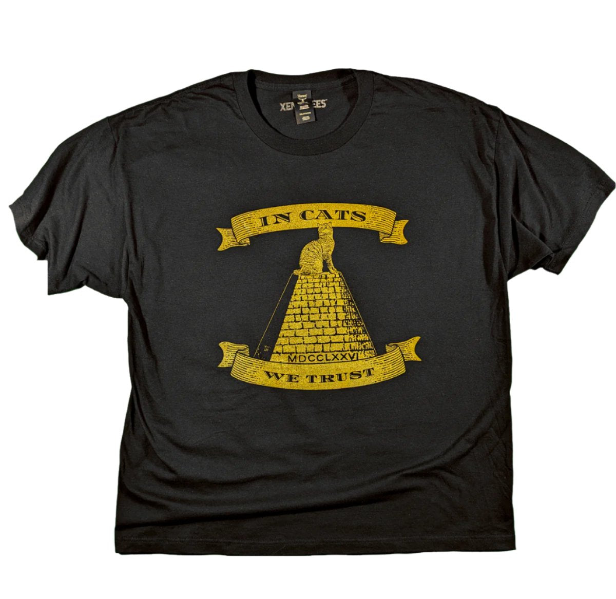 Mens Cat Dollar Bill Pyramid Beefy Tee