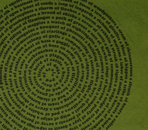 Women's Animal Group Nouns Boatneck Shirt by Xenotees