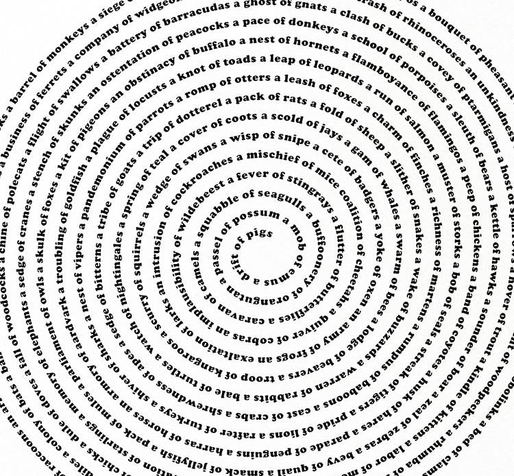 Animal Collective Nouns Poster by Xenotees