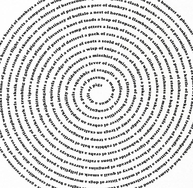 Animal Collective Group Nouns Screen Printed Poster Art Prints Xenotees