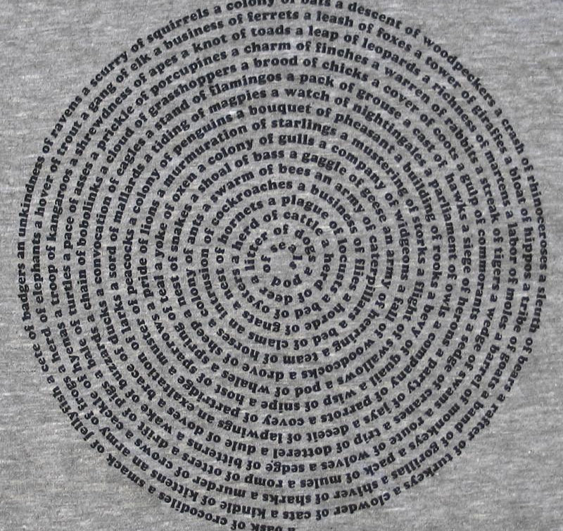 Animal Collective Nouns T-Shirt | Funny Word Nerd Graphic Tee Men Tshirts Xenotees