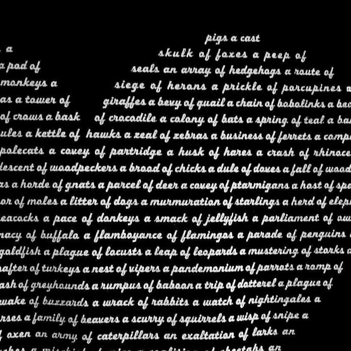 Womens Animal Lover Heart Shirt by Xenotees