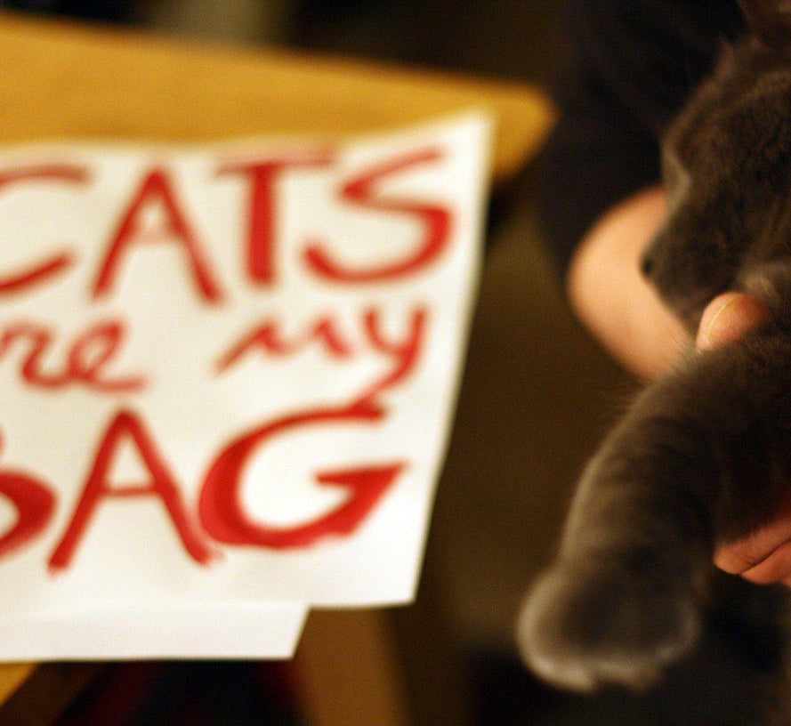 Organic Cats Are My Bag Market Tote - Black Tote Bag Xenotees