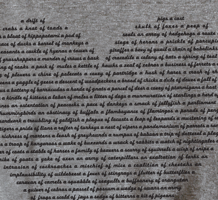 Womens Animal Collective Nouns Long Sleeve Shirt Womens Clothing Xenotees