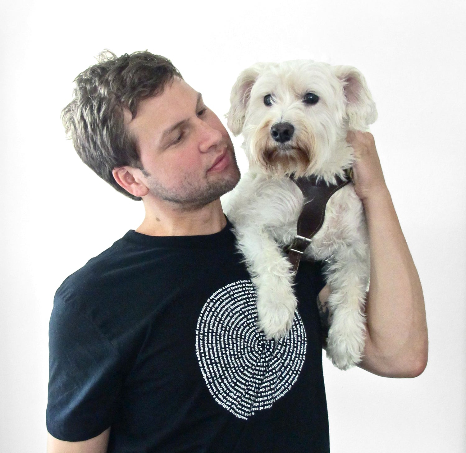 Animal Collective Nouns Mens Cotton T-shirt Men Tshirts Xenotees