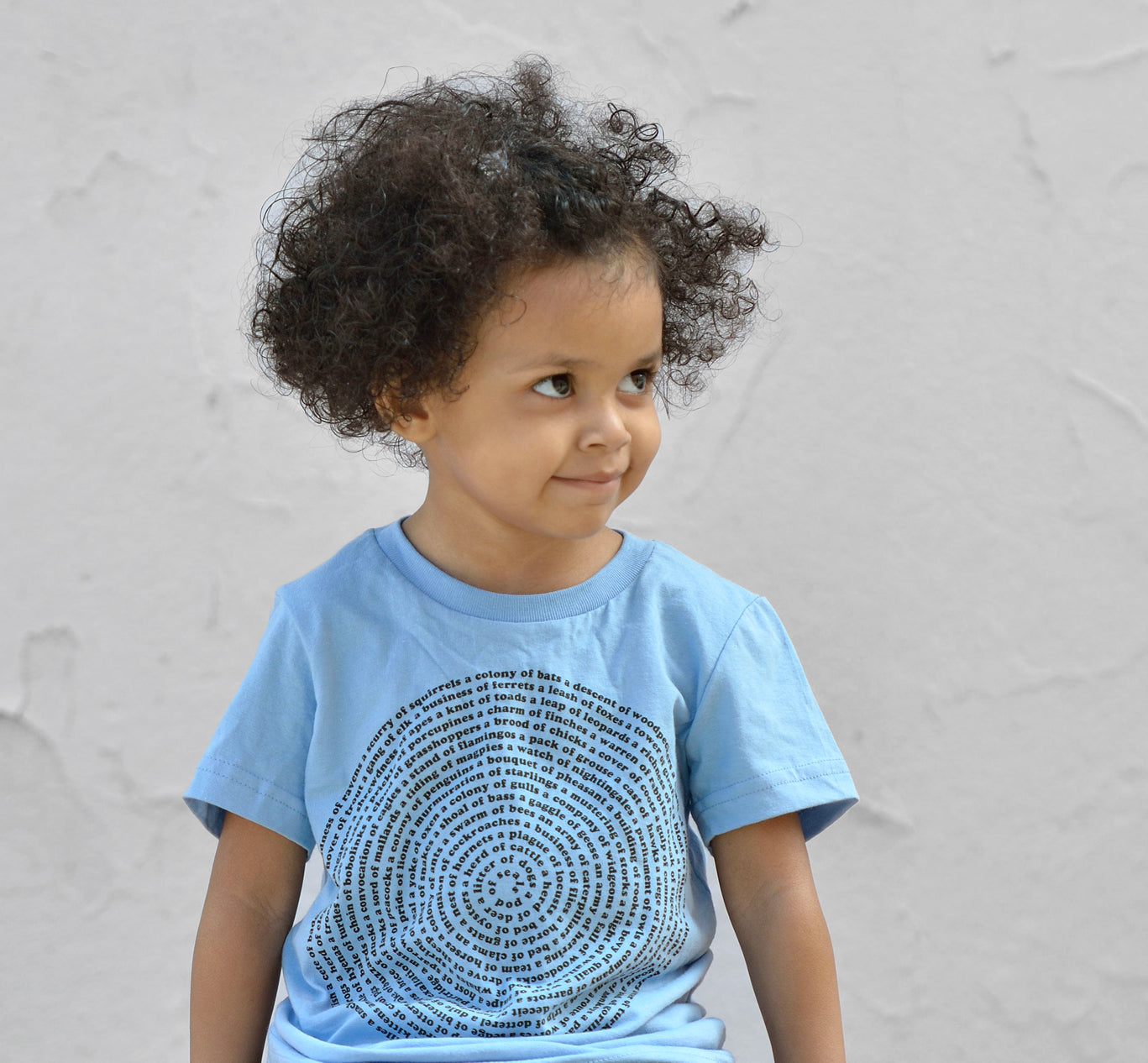 Kids Animal Collective Nouns T-Shirt for Montessori Child - Graphic Tee for 2-Year-Olds