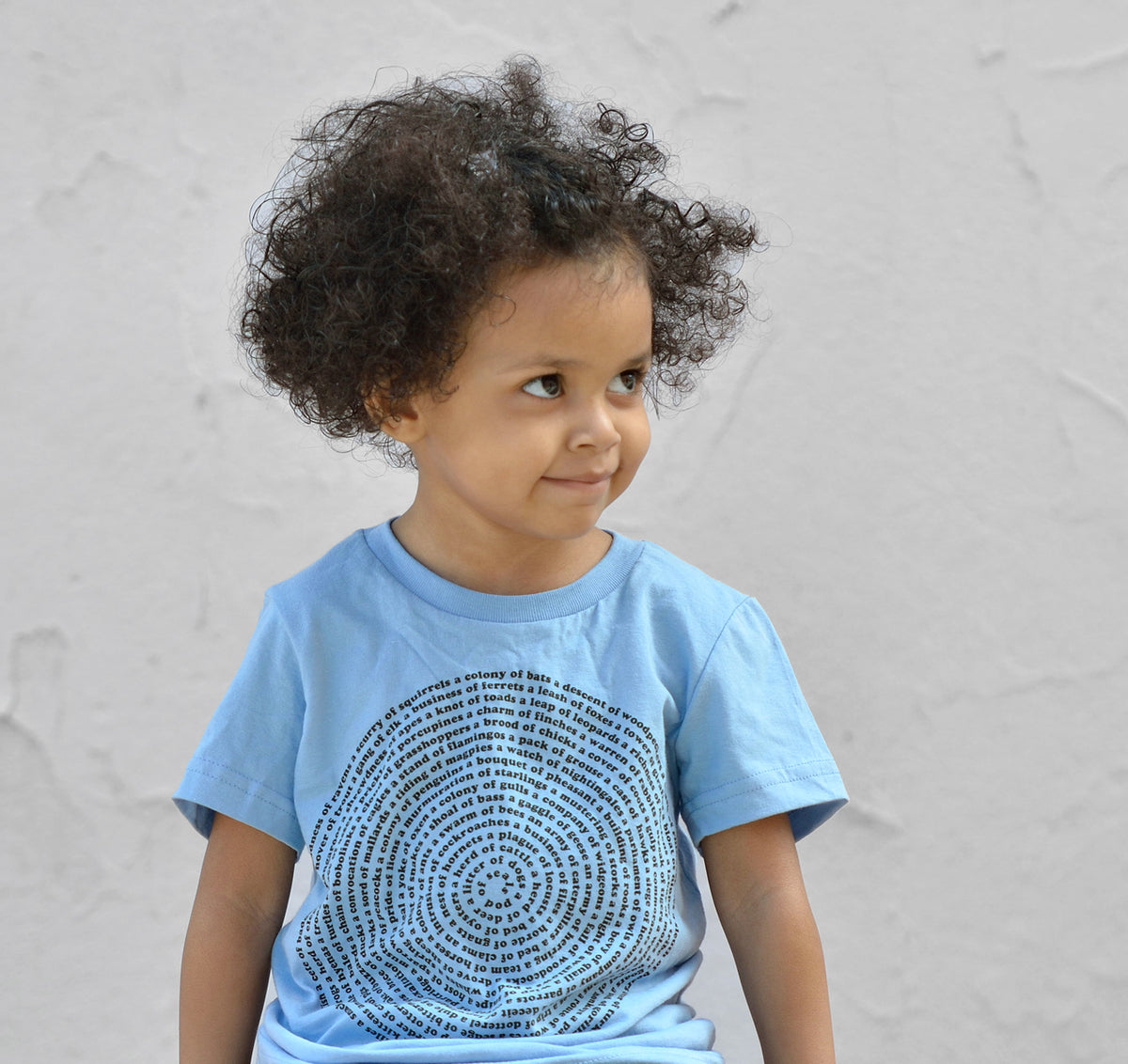 Animal Collective Group Nouns Kids Tee Shirt Kids Clothing Xenotees