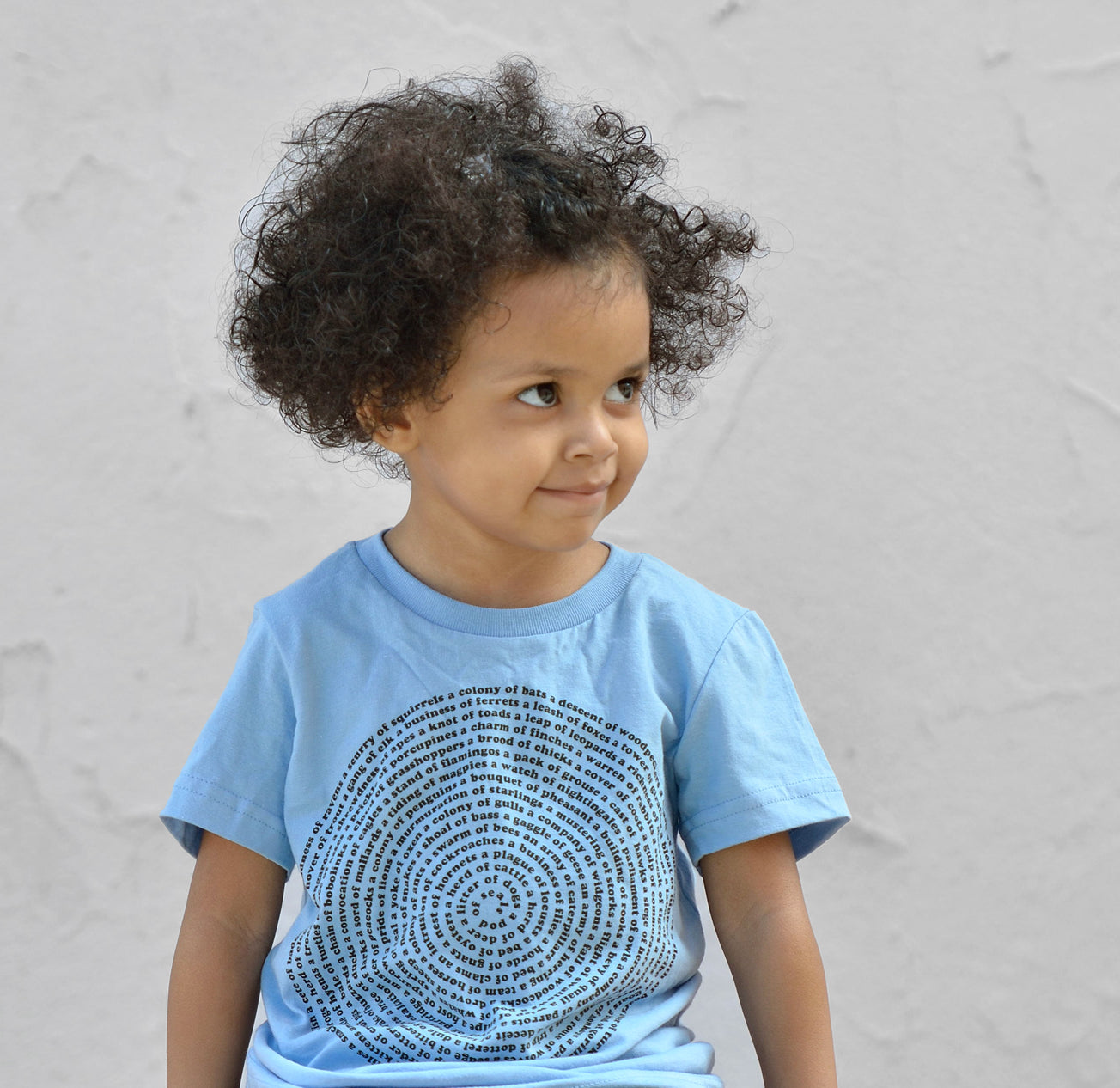 Kids Animal Collective Nouns T-Shirt for Montessori Child - Graphic Tee for 2-Year-Olds