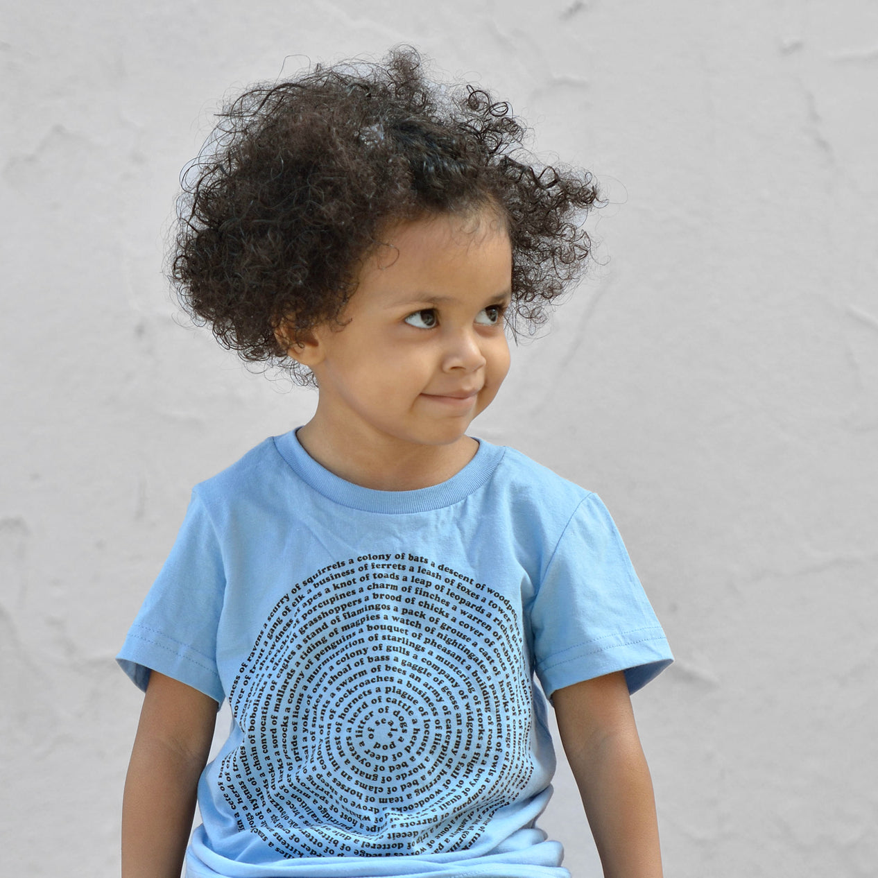 Kids Animal Collective Nouns T-Shirt for Montessori Child - Graphic Tee for 2-Year-Olds