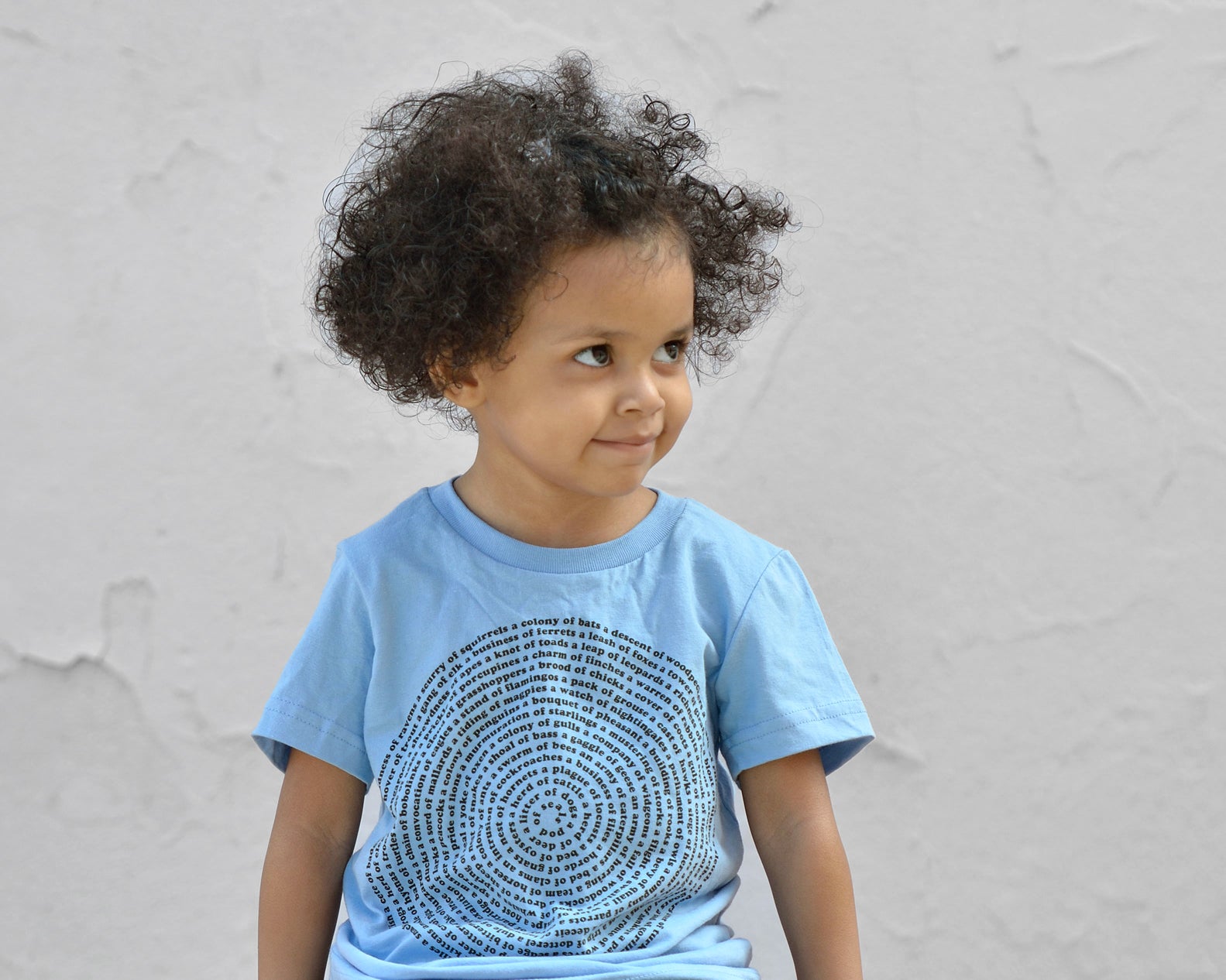 Kids Animal Collective Nouns T-Shirt for Montessori Child - Graphic Tee for 2-Year-Olds