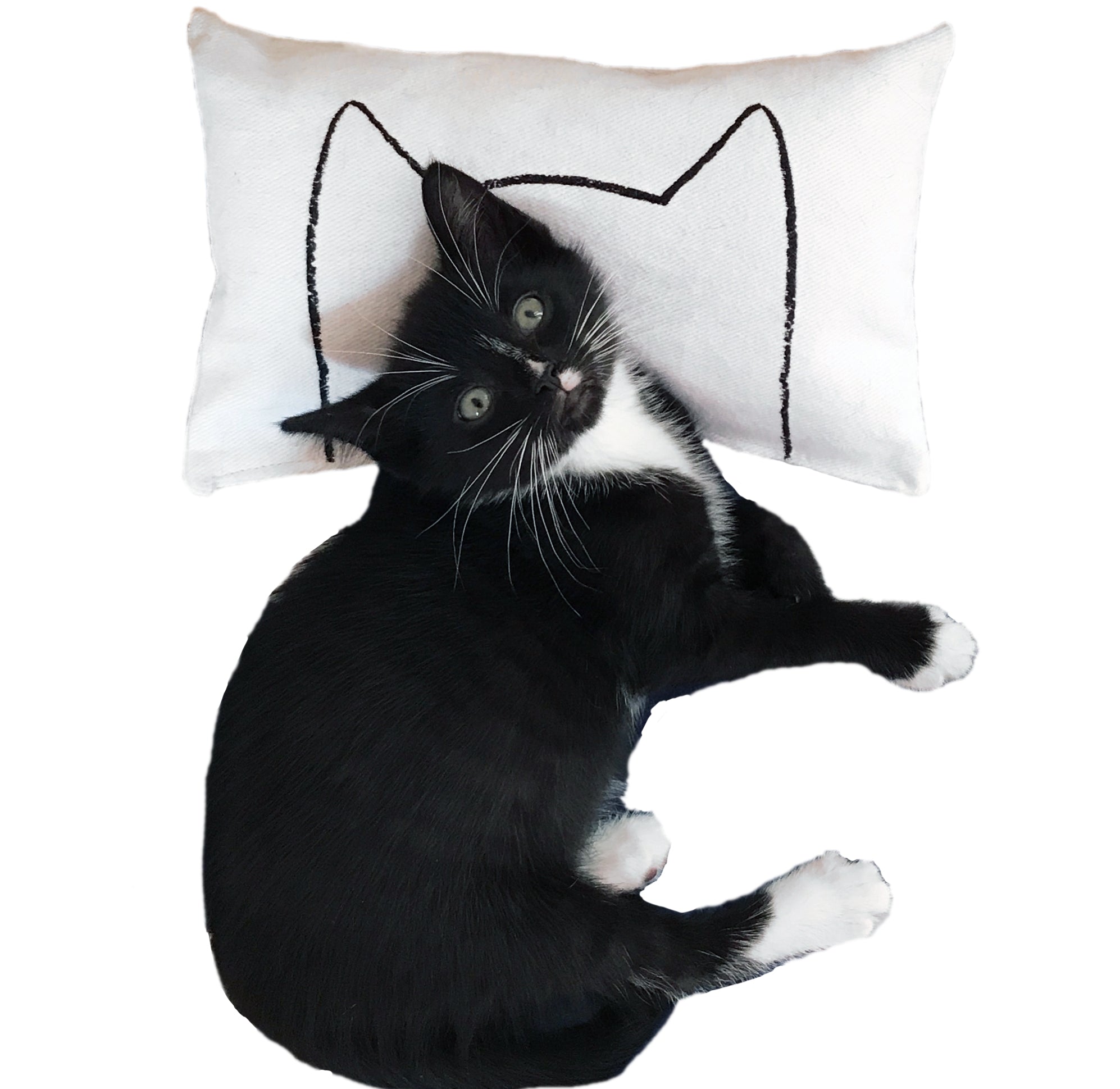 Cat Kicker Bed Pillow Catnip Kicker Toy Cat Toys Xenotees