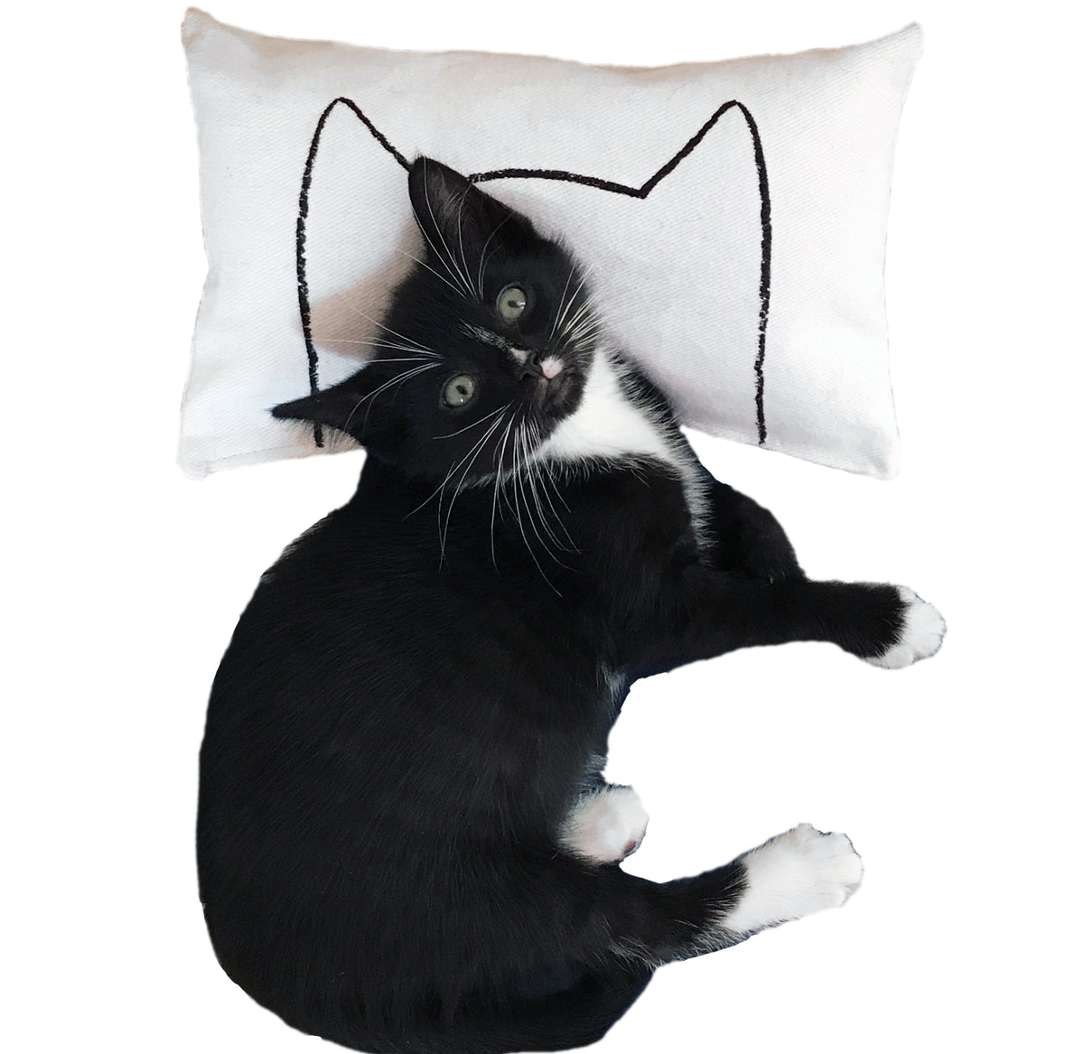 Cat Kicker Bed Pillow Catnip Kicker Toy Cat Toys Xenotees