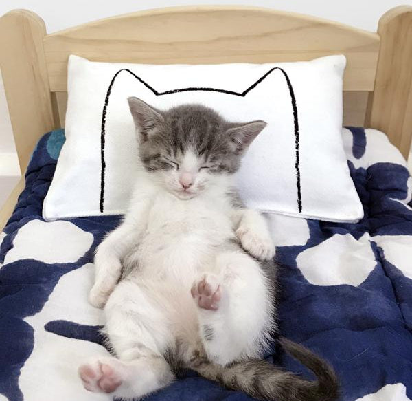 Cat Kicker Bed Pillow Catnip Kicker Toy Cat Toys Xenotees