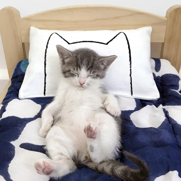 Cat Kicker Bed Pillow Catnip Kicker Toy Cat Toys Xenotees