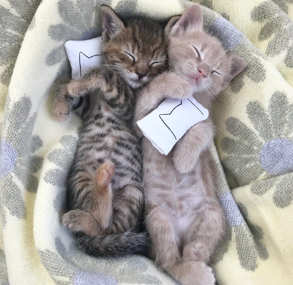 Miniature Dollhouse Cat Bed Pillows by Xenotees