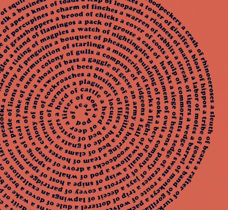 Organic Cotton Animal Collective Nouns Mens t-shirt by Xenotees