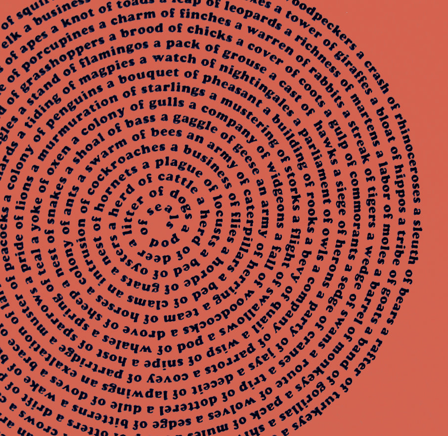 Organic Cotton Animal Collective Nouns Mens t-shirt by Xenotees