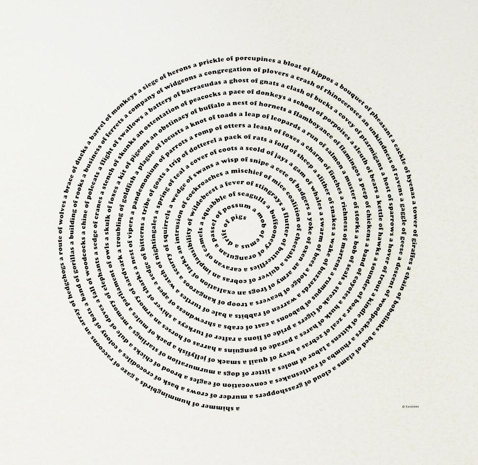 Animal Collective Group Nouns Screen Printed Poster Art Prints Xenotees