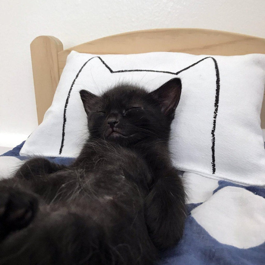 Made in the USA Organic Catnip Kitty Cat Kicker Toy