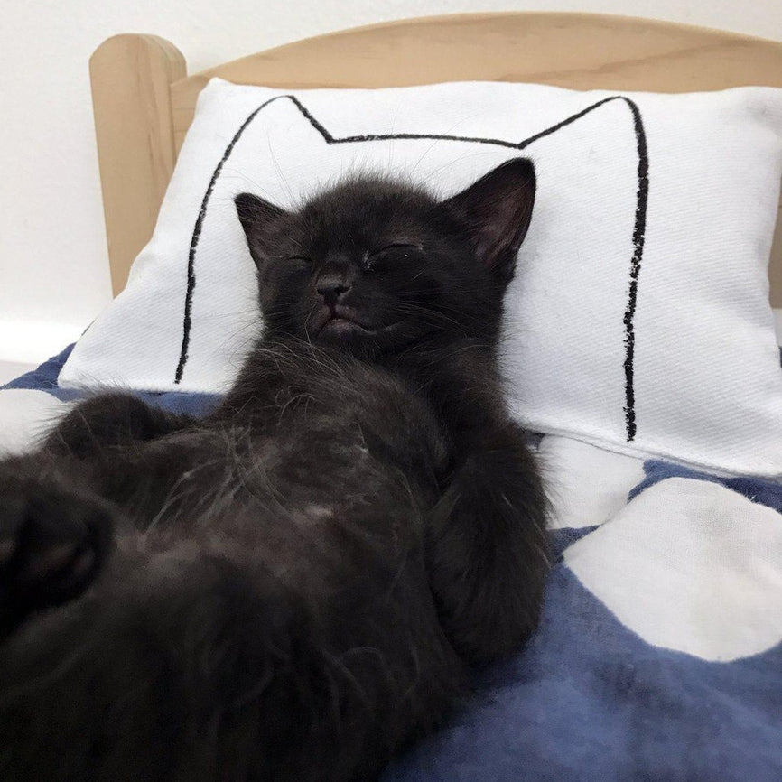 Cat Kicker Bed Pillow Catnip Kicker Toy Cat Toys Xenotees