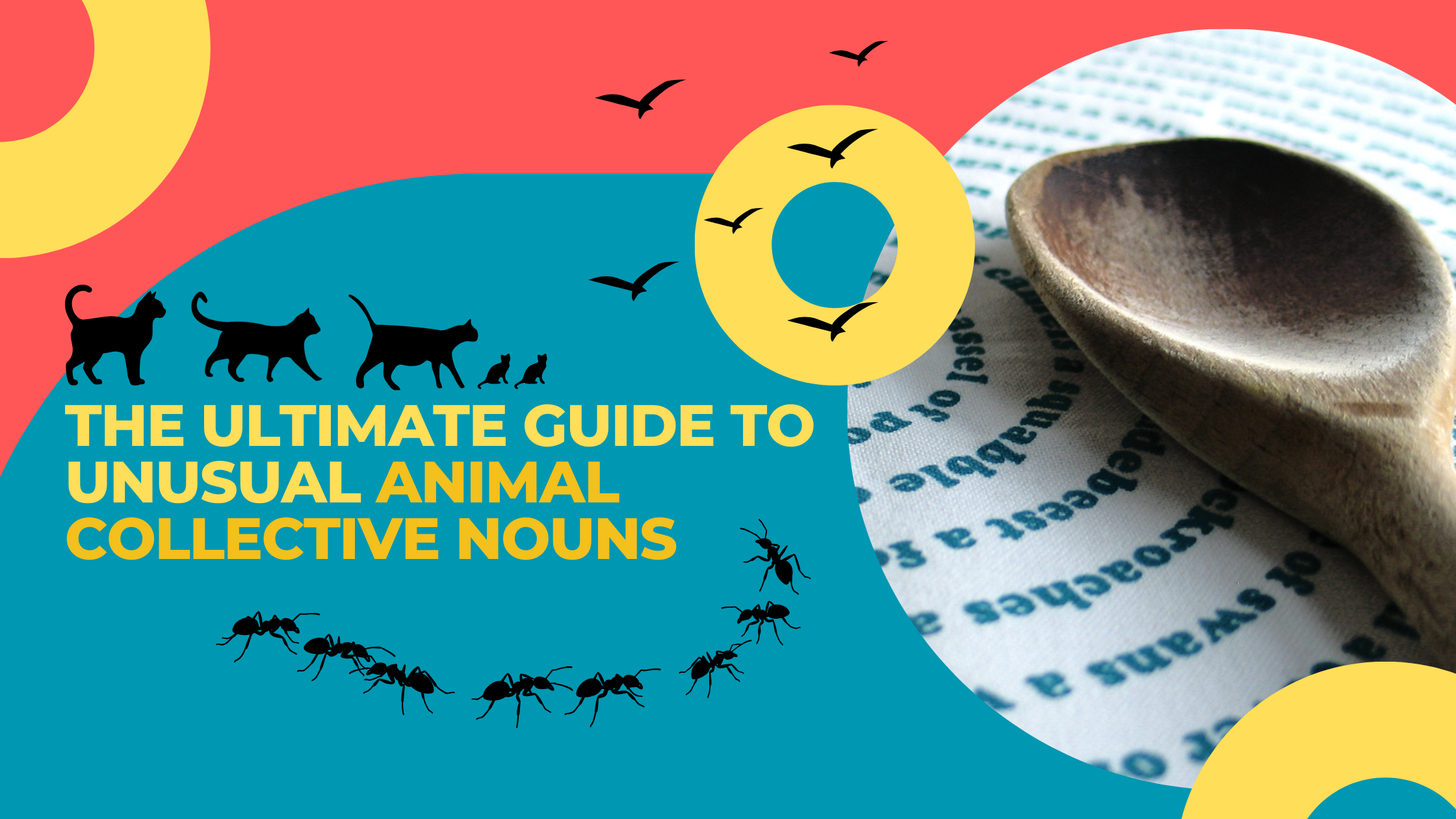 What is a Group of Cats Called? 10 Weird Animal Collective Nouns for Trivia Lover