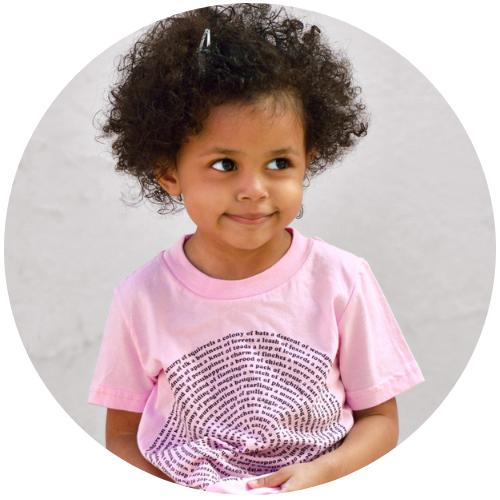 Animal Collective Nouns List for Montessori Students and Teachers