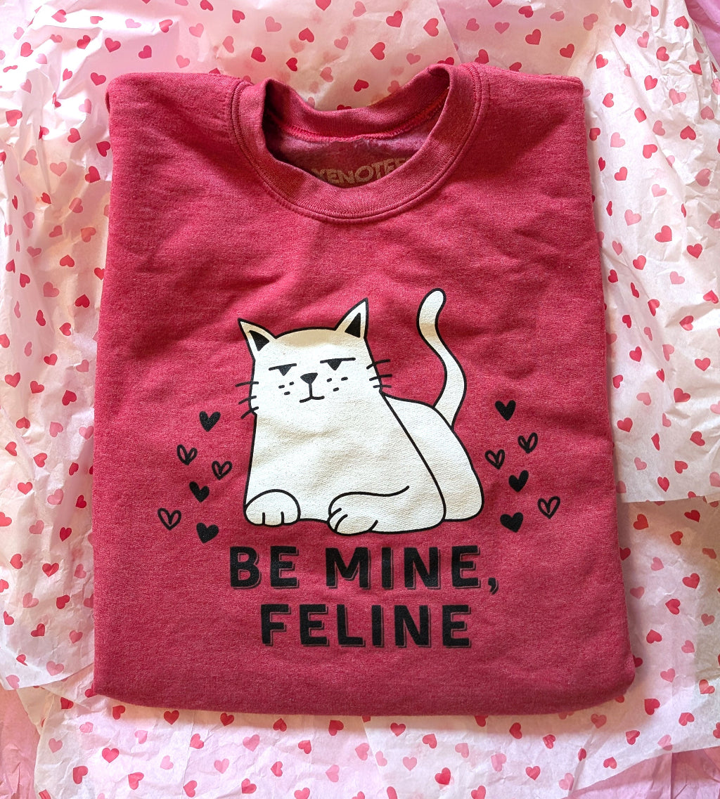 Folded pink shirt with a cat graphic and 'Be Mine, Feline' text on a heart-patterned background