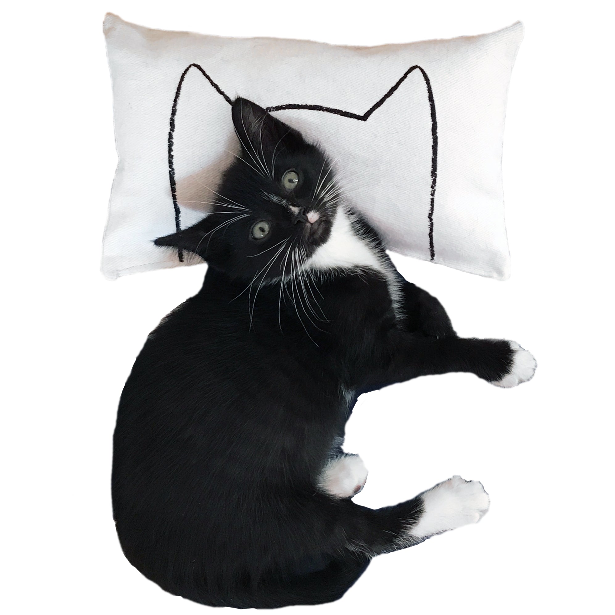 Georgia's Cat Corner Gifts and Decor for Cat Lovers