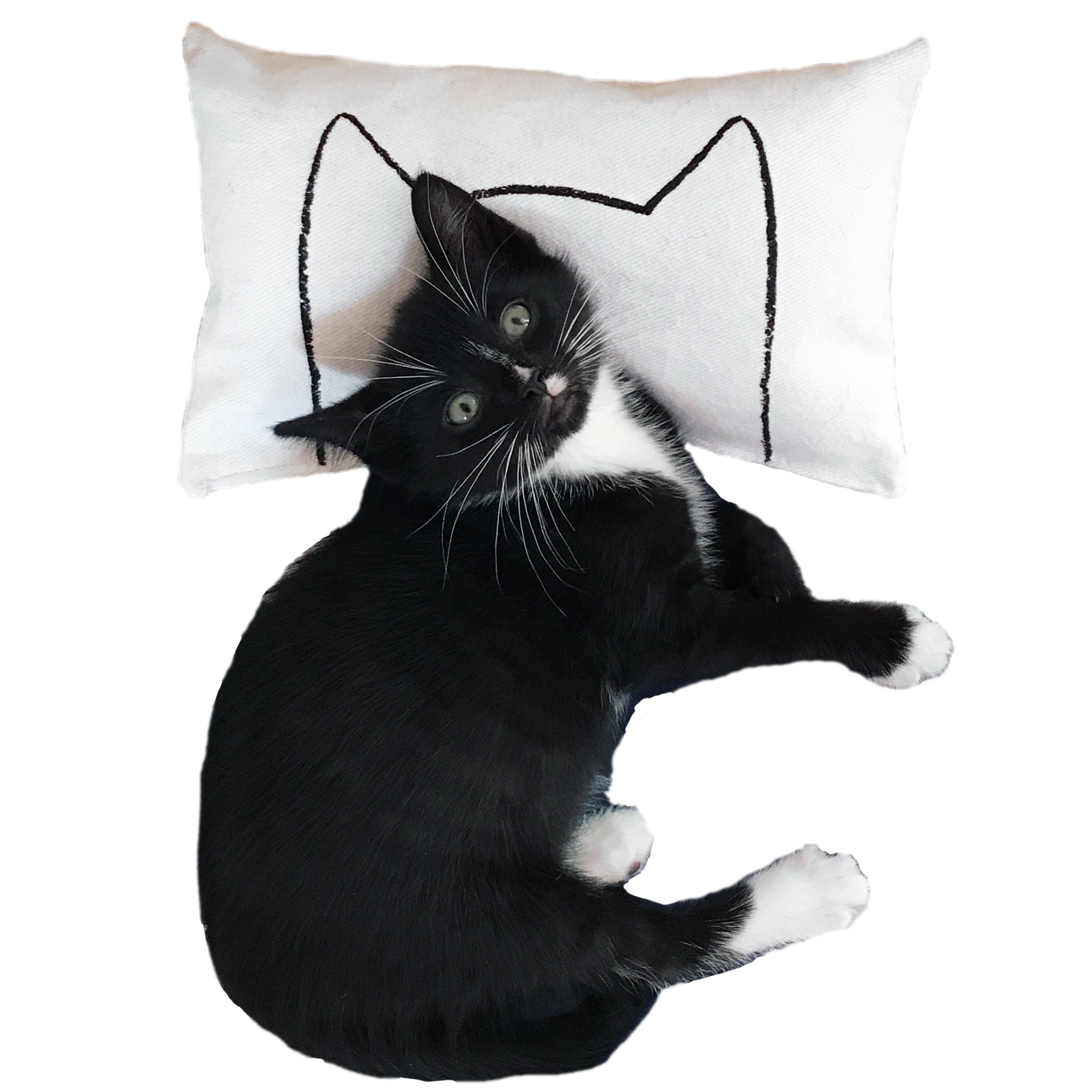 Kitten pillow clearance