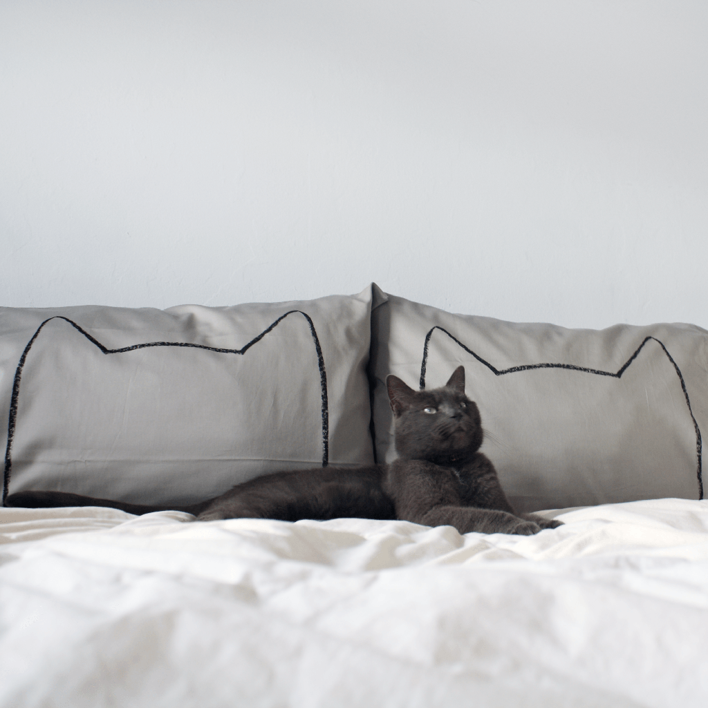 Gray Cat Nap Pillowcases by Xenotees
